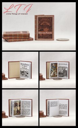 HOCUS POCUS THE HISTORY OF WITCHES Miniature One Sixth Scale Playscale Readable Illustrated Book